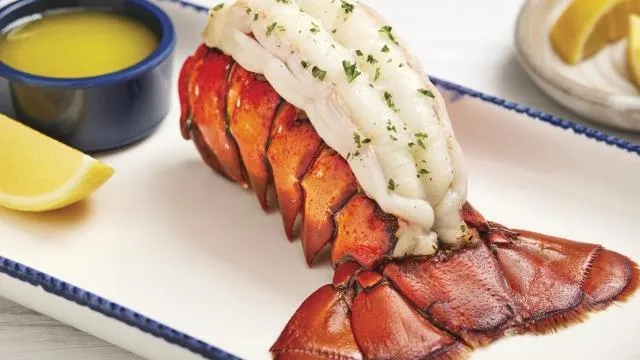 Classic Maine Lobster Tail"